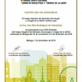 Acercar imagen: certificate 9