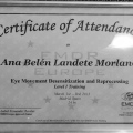 Acercar imagen: certificate 3
