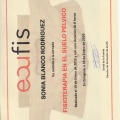 Acercar imagen: certificate 17