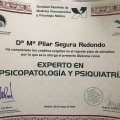 Acercar imagen: certificate 11