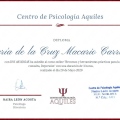 Acercar imagen: certificate 11