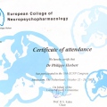 Acercar imagen: certificate 5