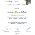 Acercar imagen: certificate 7
