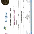 Acercar imagen: certificate 3