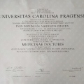 Acercar imagen: certificate 9