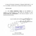 Acercar imagen: certificate 5