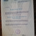 Acercar imagen: certificate 8