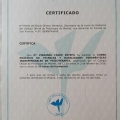 Acercar imagen: certificate 9