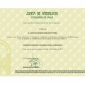 Acercar imagen: certificate 2