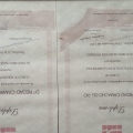 Acercar imagen: certificate 2