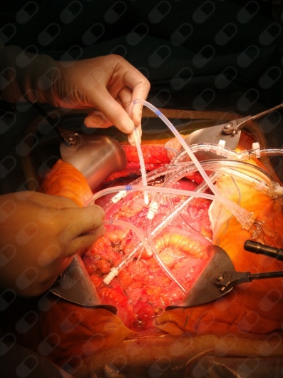 Francisco Cristóbal Muñoz Casares-4