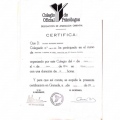 Acercar imagen: certificate 5