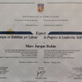Acercar imagen: certificate 3