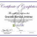 Acercar imagen: certificate 2