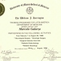 Acercar imagen: certificate 3