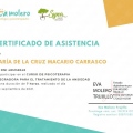 Acercar imagen: certificate 13