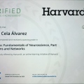 Acercar imagen: certificate 13