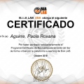 Acercar imagen: certificate 1