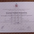 Acercar imagen: certificate 28