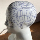 Dr. Francisco José Navarro Fernandez