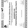 Acercar imagen: certificate 5