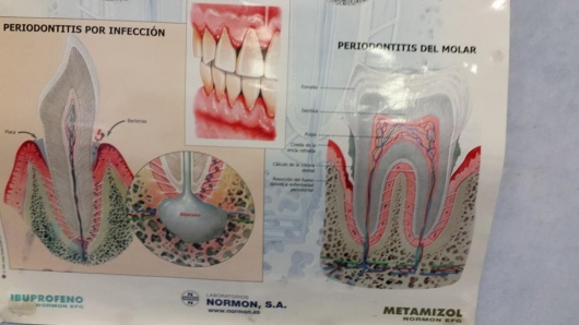 Josefina Arce Llupia-28