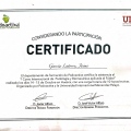 Acercar imagen: certificate 1