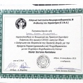 Acercar imagen: certificate 3