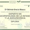 Acercar imagen: certificate 4