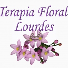 Acercar imagen: Lourdes Jiménez Romero, Terapeuta complementario Lebrija