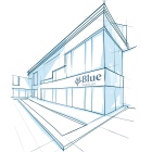 Blue Healthcare