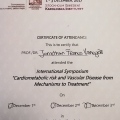 Acercar imagen: certificate 3