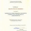 Acercar imagen: certificate 3