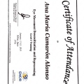 Acercar imagen: certificate 2
