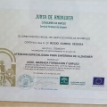 Acercar imagen: certificate 8