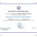 Acercar imagen: certificate 10