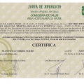 Acercar imagen: certificate 23