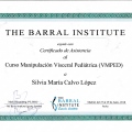 Acercar imagen: certificate 17