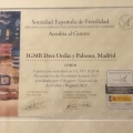 Acercar imagen: certificate 6