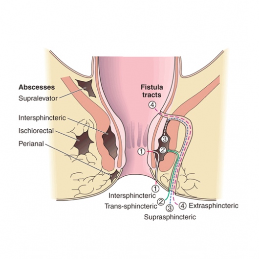 Francisco Miguel Jiménez Armenteros-2