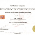 Acercar imagen: certificate 8