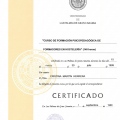 Acercar imagen: certificate 8