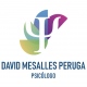 David Mesalles Peruga