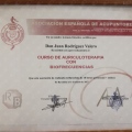 Acercar imagen: certificate 2