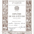 Acercar imagen: certificate 19