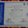 Acercar imagen: certificate 5