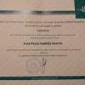Acercar imagen: certificate 6