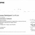 Acercar imagen: certificate 11