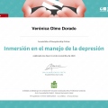 Acercar imagen: certificate 27