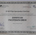 Acercar imagen: certificate 2